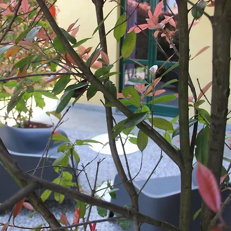 Ranverso Apartment *