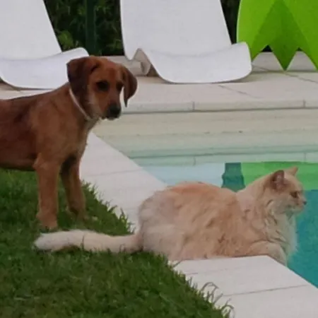 아파트 Ranverso *